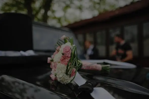 Westfield Limo And Car Service Wedding Transfer